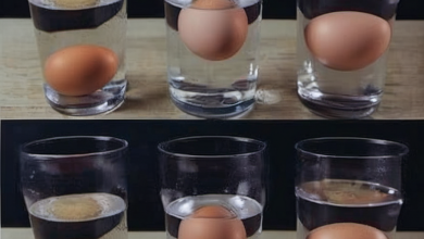 Fresh eggs in a bowl of water, demonstrating the water test for egg freshness, with some eggs submerged at the bottom and others floating How to Check if an Egg is Fresh Food Safety Tips Avoid Food Waste Fresh Egg Test Methods Best Practices for Storing Eggs