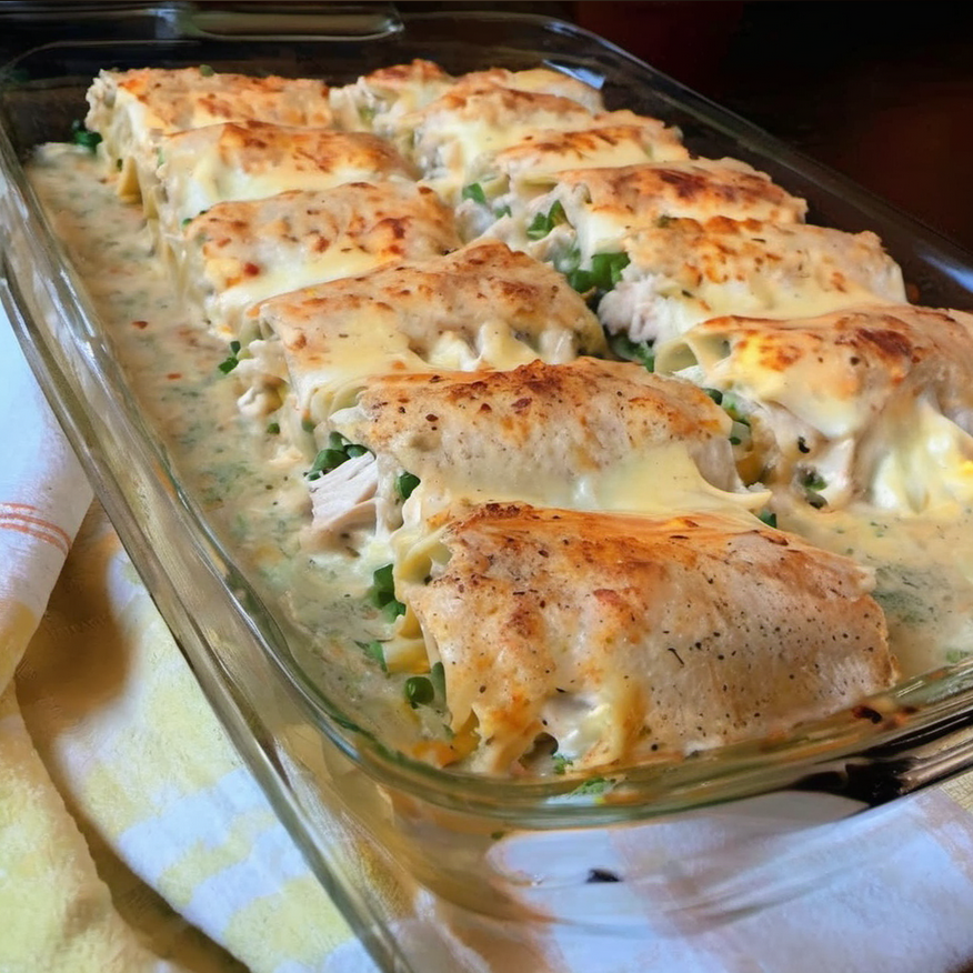 Freshly baked Chicken Alfredo Lasagna Rolls topped with golden melted cheese and parsley, served hot on an elegant white serving dish.
