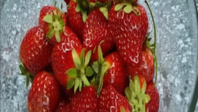 A bowl of vibrant, fresh strawberries immersed in a clear vinegar-water solution, with a bottle of white vinegar and a measuring cup visible in the background. The strawberries are being prepared for soaking, symbolizing a natural and effective method to prolong their freshness.