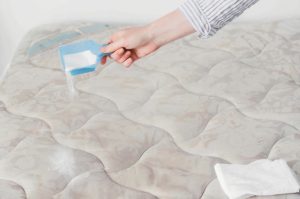 How to Naturally Eliminate Dust Mites and Bedbugs from Your Mattress