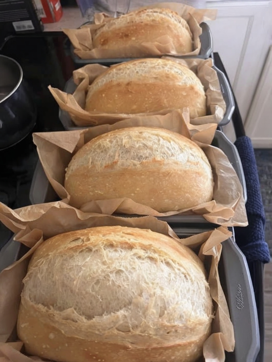 A soft, fluffy, and incredibly easy no-knead sandwich bread made with just a few simple ingredients. Perfect for sandwiches, toast, or enjoying with butter!