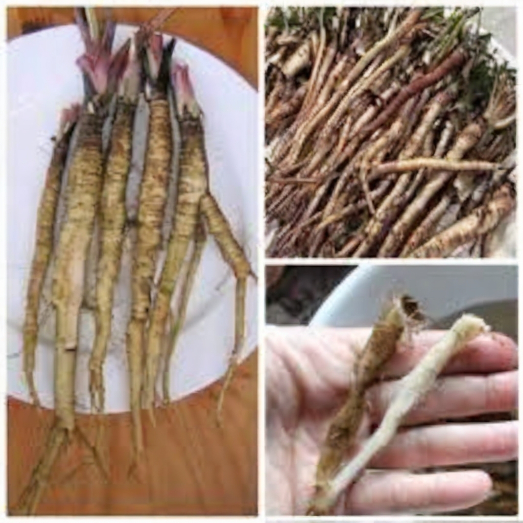 A traditional herbal tea known for its detoxifying, anti-inflammatory, and immune-supportive effects. Burdock root tea is easy to make and perfect for daily wellness routines.