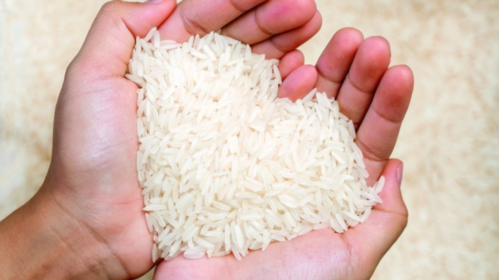 Learn how to store and reheat cooked rice safely to avoid foodborne illness caused by Bacillus cereus.