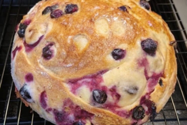 This bakery-style sourdough loaf is swirled with tangy lemon cream cheese and juicy blueberries. Perfect for breakfast, brunch, or gifting.