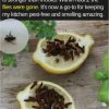 Use clove and lemon to boost immunity, purify air, and create DIY cleaners. Discover how this natural duo enhances both health and home!