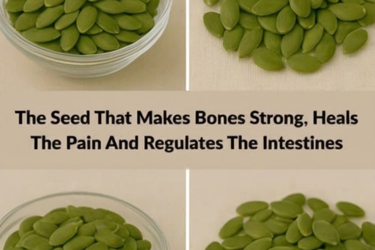 Pumpkin Seeds: The Tiny Superfood That Balances Hormones, Strengthens Bones, and Boosts Digestive Health