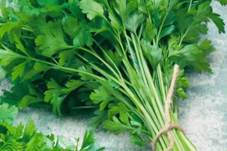 Powerful Benefits of Sweet Wormwood