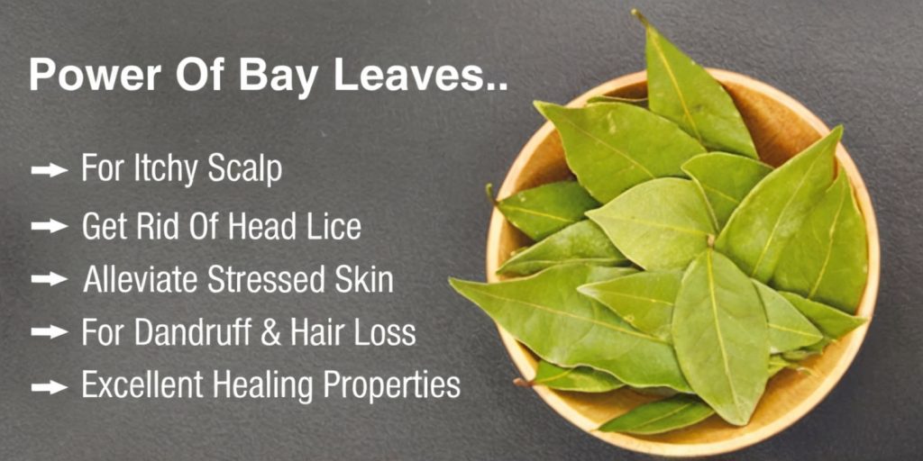 Bay Leaf Skin