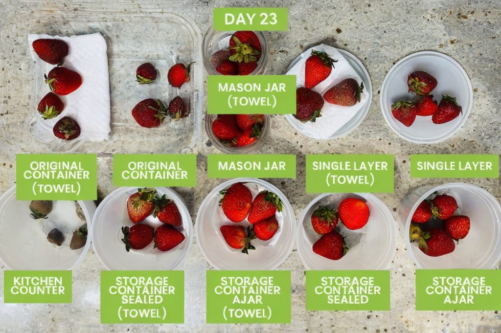 Extend the life of your strawberries with these expert tips—stop mold, reduce waste, and keep your berries fresh for up to a week or longer!