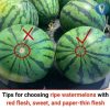 There's nothing like biting into a sweet, juicy watermelon on a warm day—refreshing, crisp, and naturally delicious. But picking that perfect watermelon can sometimes feel like pure luck