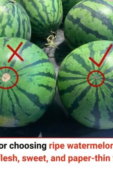 There's nothing like biting into a sweet, juicy watermelon on a warm day—refreshing, crisp, and naturally delicious. But picking that perfect watermelon can sometimes feel like pure luck