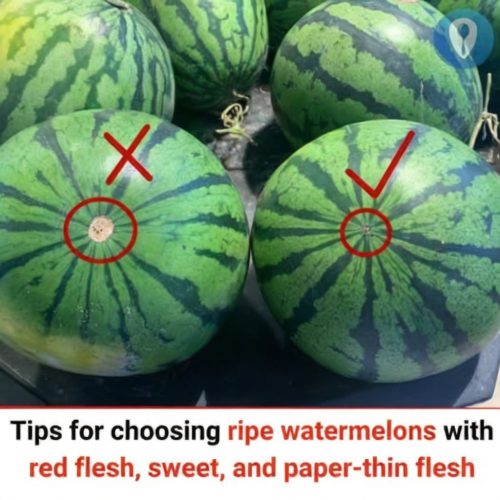 How To Pick The Perfect Watermelon Every Time Cooking Art How To Pick The Perfect Watermelon Every Time Cooking Art