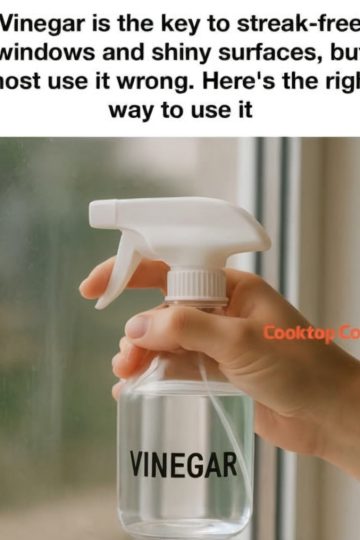 Vinegar Is the Key to Streak-Free Windows – But Most People Use It Wrong