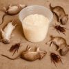 Eliminate Rats and Cockroaches Naturally with Rice: An Easy, Effective Home Solution