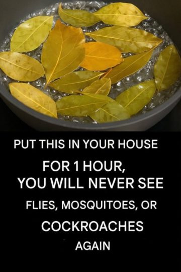 Banish Flies, Mosquitoes, and Cockroaches with These Simple Natural Remedies