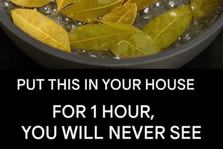 Banish Flies, Mosquitoes, and Cockroaches with These Simple Natural Remedies