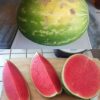 The Savvy Shopper’s Guide to Choosing the Sweetest Watermelon