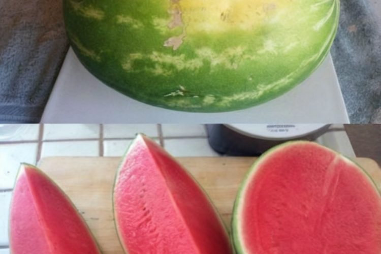 The Savvy Shopper’s Guide to Choosing the Sweetest Watermelon