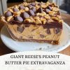 A no-bake, ultra-creamy peanut butter pie with a crunchy crust, drizzled chocolate, and mini Reese’s cups.