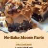 A fun and easy no-bake chocolate oat treat with coconut and optional chocolate chips.