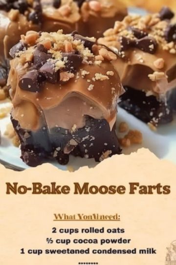 A fun and easy no-bake chocolate oat treat with coconut and optional chocolate chips.