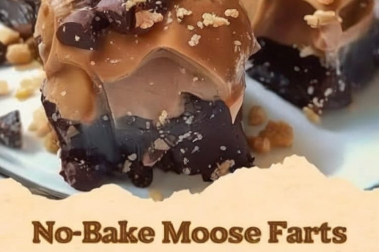 A fun and easy no-bake chocolate oat treat with coconut and optional chocolate chips.