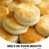 Melt-in-Your-Mouth 2-Ingredient Biscuits (No Butter Needed!)