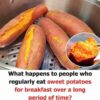 Reasons You Should Be Adding Sweet Potatoes to Your Diet