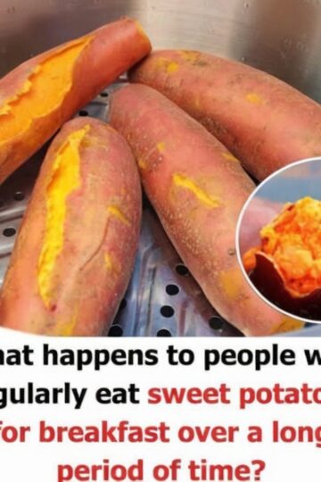 Reasons You Should Be Adding Sweet Potatoes to Your Diet