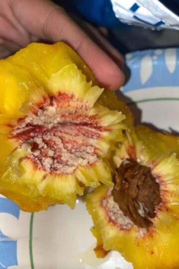 White Stuff on Your Peach Pit? Here’s What It Really Is