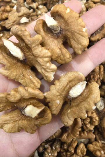  Doctors Reveal That Eating Walnuts Causes Remarkable Changes in the Brain and Body