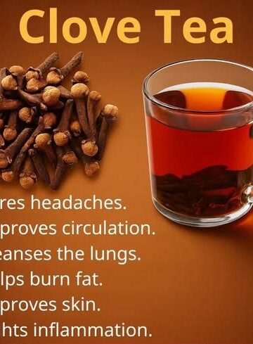 The Ancient Spice in Your Kitchen: 18 Ways Clove Tea Supports Health, Metabolism & Longevity