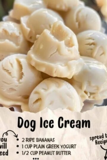 Healthy, three-ingredient frozen treats that dogs absolutely love. Creamy frozen bananas blended with protein-rich Greek yogurt and peanut butter create the perfect cool-down treat for hot days. Dog-safe, wholesome, and so simple you can make a batch in 5 minutes.