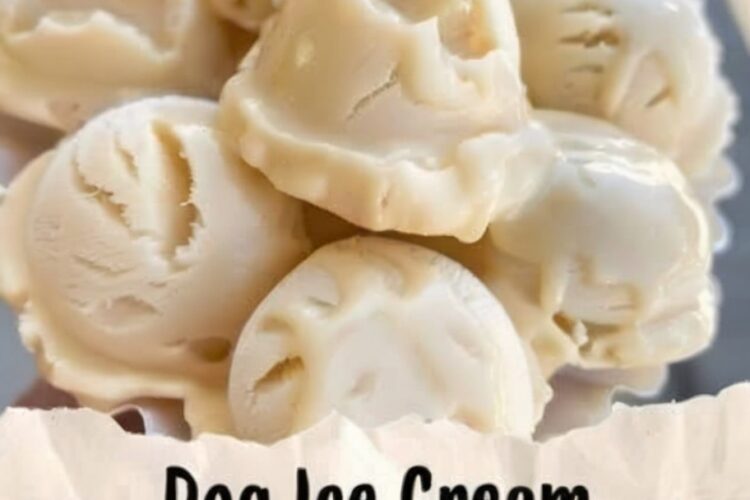Healthy, three-ingredient frozen treats that dogs absolutely love. Creamy frozen bananas blended with protein-rich Greek yogurt and peanut butter create the perfect cool-down treat for hot days. Dog-safe, wholesome, and so simple you can make a batch in 5 minutes.
