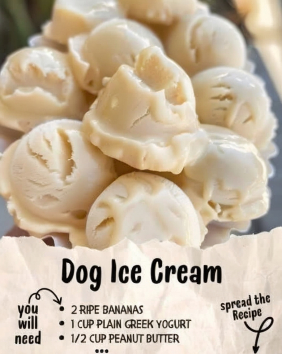 Healthy, three-ingredient frozen treats that dogs absolutely love. Creamy frozen bananas blended with protein-rich Greek yogurt and peanut butter create the perfect cool-down treat for hot days. Dog-safe, wholesome, and so simple you can make a batch in 5 minutes.