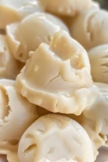 Healthy, three-ingredient frozen treats that dogs absolutely love. Creamy frozen bananas blended with protein-rich Greek yogurt and peanut butter create the perfect cool-down treat for hot days. Dog-safe, wholesome, and so simple you can make a batch in 5 minutes.