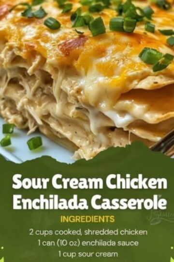 A creamy, layered casserole made with tender chicken, tortillas, and rich sauce. This easy homemade dinner is perfect for busy nights or family meals.