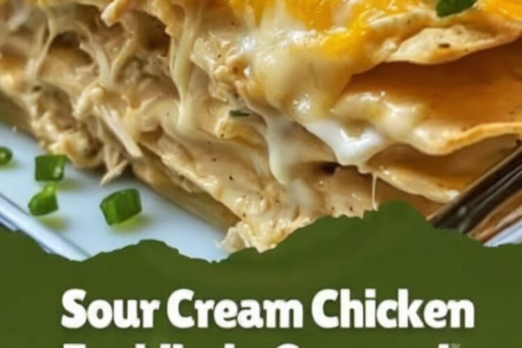 A creamy, layered casserole made with tender chicken, tortillas, and rich sauce. This easy homemade dinner is perfect for busy nights or family meals.