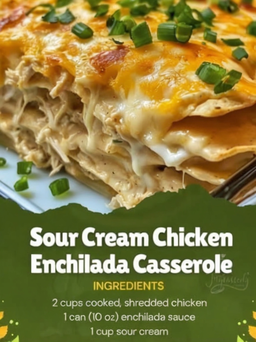A creamy, layered casserole made with tender chicken, tortillas, and rich sauce. This easy homemade dinner is perfect for busy nights or family meals.