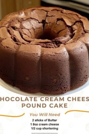 Rich, Dense, Bakery-Style Bundt Cake for Chocolate Lovers