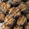 These Easy No-Bake Samoa Cookies combine buttery shortbread cookies, gooey caramel, toasted coconut, and rich chocolate into an irresistible bakery-style dessert that's ready in minutes. Perfect for holiday baking, coffee breaks, family gatherings, and homemade dessert platters, this simple recipe delivers the classic Samoa cookie flavor without complicated baking techniques.