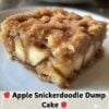 Warm cinnamon-sugar apple cake with tender sliced apples baked underneath a golden, buttery, crackly cinnamon-sugar crust. Served in a 9x13-inch baking dish with a scoop of vanilla ice cream melting over the top, creating a cozy homemade fall dessert presentation.