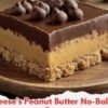 No-bake peanut butter bars with a firm, buttery graham cracker and peanut butter base topped with a smooth, glossy layer of melted chocolate and peanut butter. The bars are cut into neat squares and served chilled, creating a rich, creamy chocolate-peanut butter dessert with classic Reese’s-style flavor.