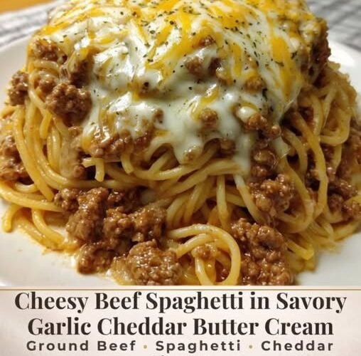A hearty plate of cheesy beef spaghetti coated in a rich, creamy garlic-cheddar sauce, topped with seasoned ground beef and a generous layer of melted cheese