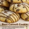 Soft, golden cannoli cookies studded with chocolate chips, dusted with powdered sugar, and finished with delicate drizzles of melted chocolate.