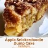 A warm slice of apple snickerdoodle dump cake with tender apple filling, a buttery cinnamon-sugar topping, and crunchy pecans, baked until golden and caramelized