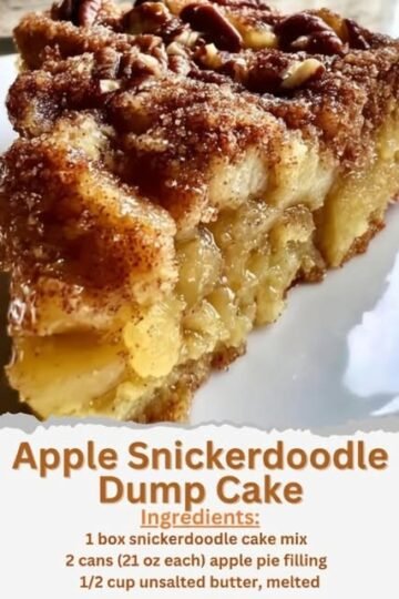 A warm slice of apple snickerdoodle dump cake with tender apple filling, a buttery cinnamon-sugar topping, and crunchy pecans, baked until golden and caramelized