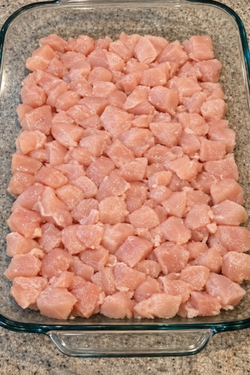 Diced chicken breast baked in cream of chicken soup, sour cream, onion mix, and cheddar
