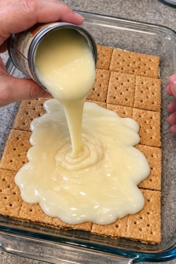 Whole graham cracker sheets, butter, and chocolate under a golden canopy of sweetened condensed milk — four ingredients, toasty and candy-like.