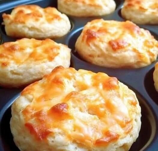 A batch of fluffy homemade cheddar biscuits with golden, crispy cheese-covered tops and soft, tender centers, freshly baked in a muffin-style pan.